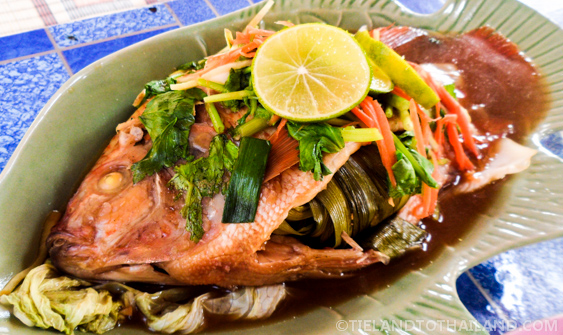 Fresh fish at Huay Tung Tao Lake