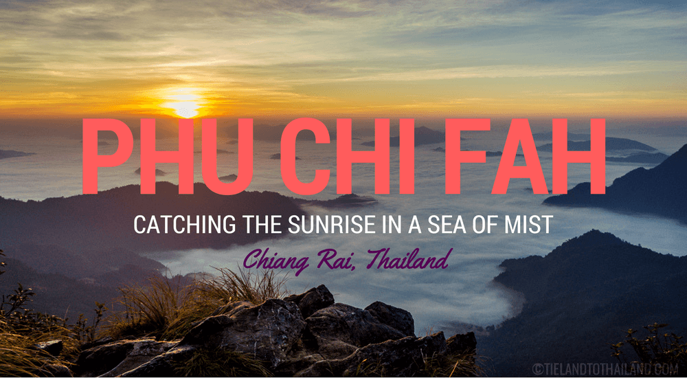 Phu Chi Fah: Catching the Sunrise in a Sea of Mist